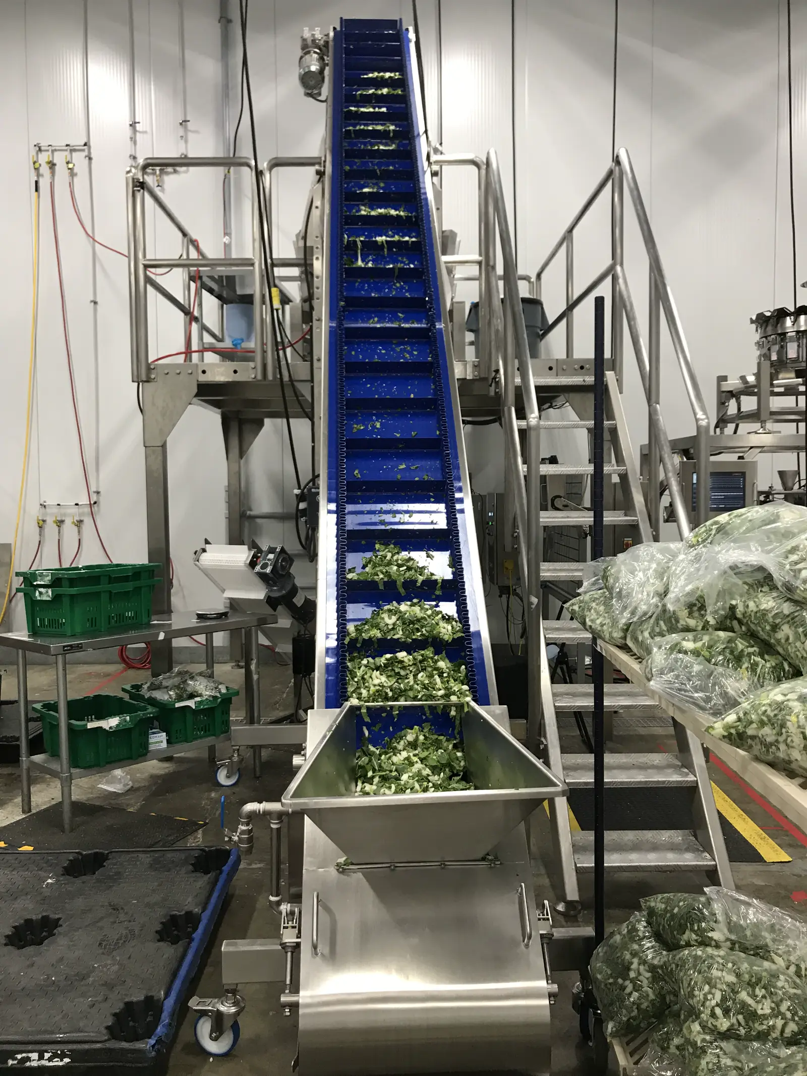 An automated portioning line being commissioned